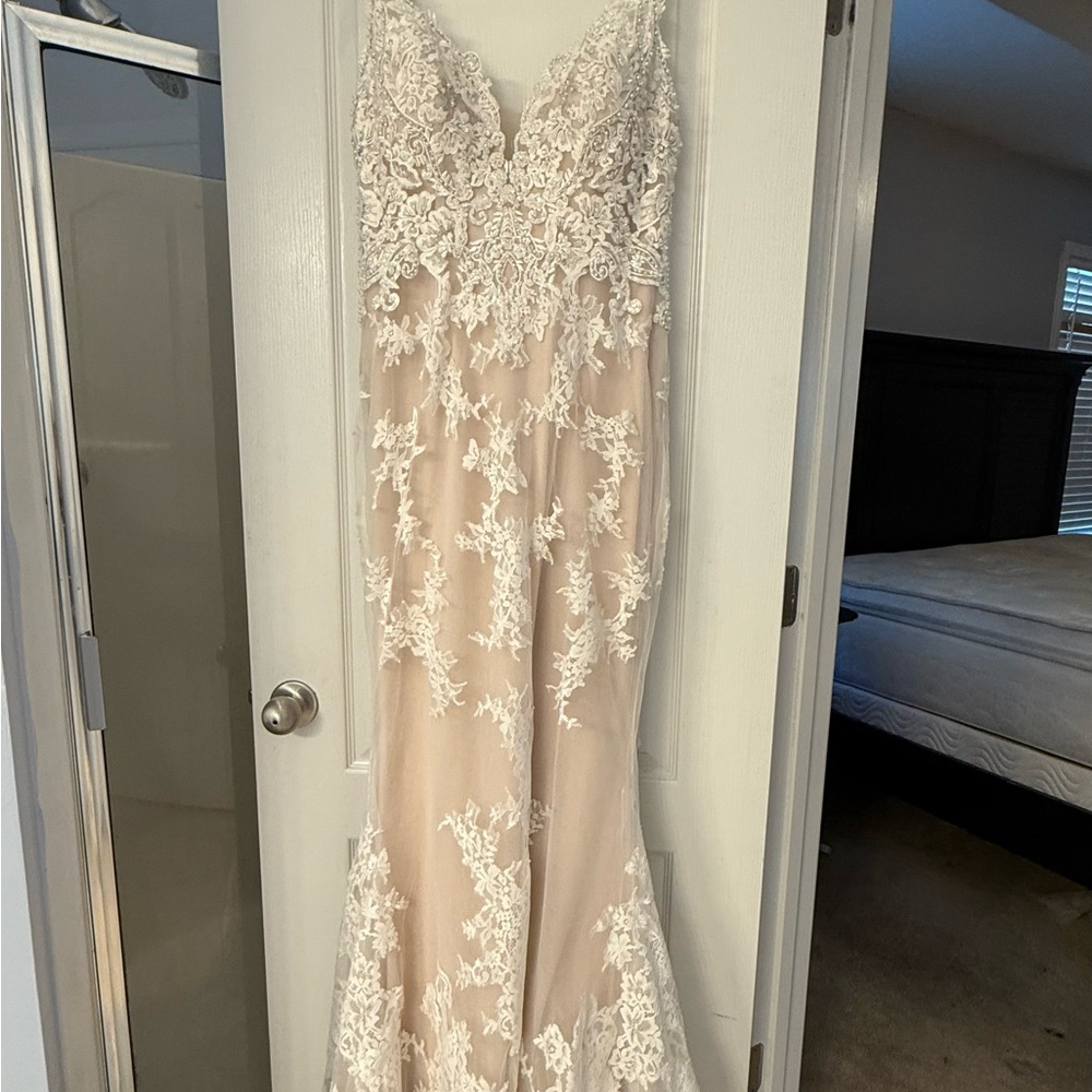 Ella Rosa Elegant Lace Wedding Dress in Cream and White - Picture 8 of 13